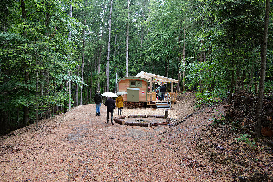 Waldlichtung TIWAKI