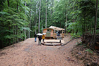 Waldlichtung TIWAKI